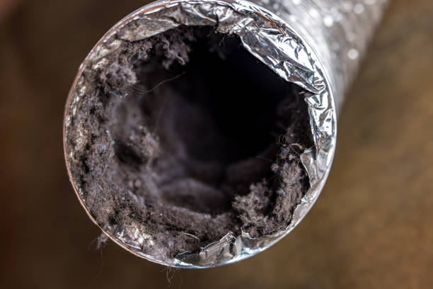 Best Air Duct Inspection  in Santa Clara, OR