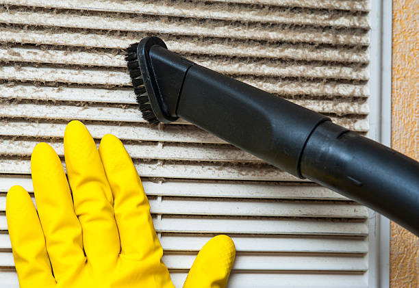 Best Air Duct Mold Removal  in Santa Clara, OR